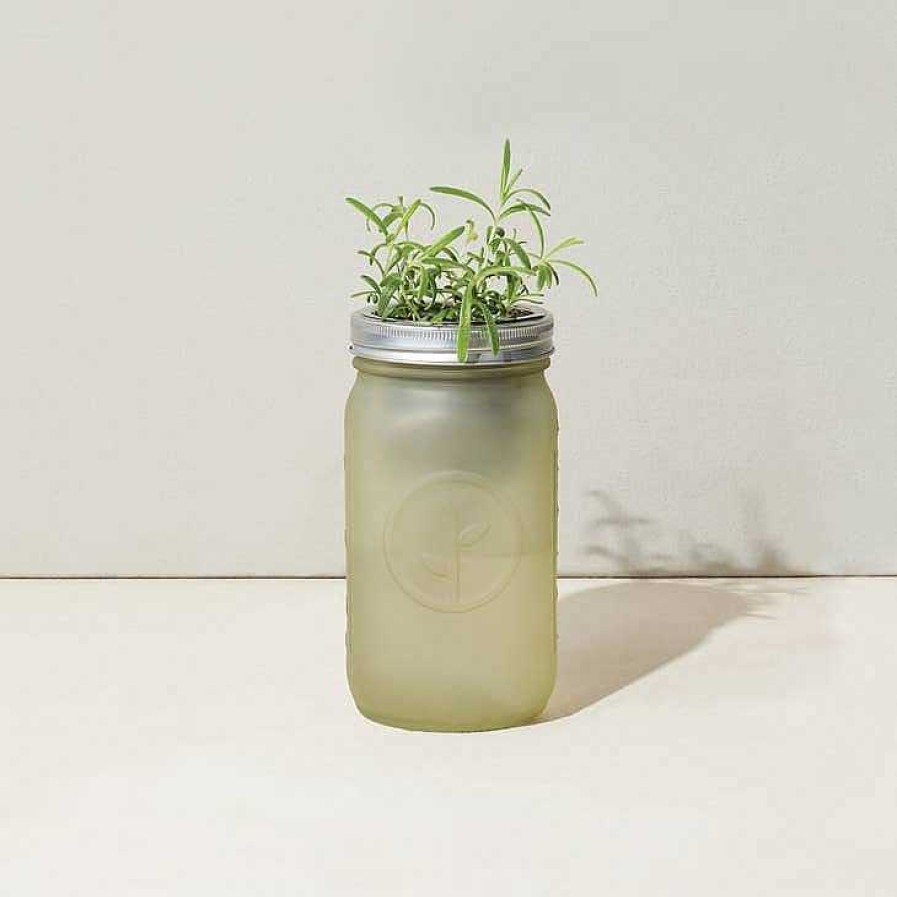 Kitchen Relish Decor | Garden Jar - Rosemary