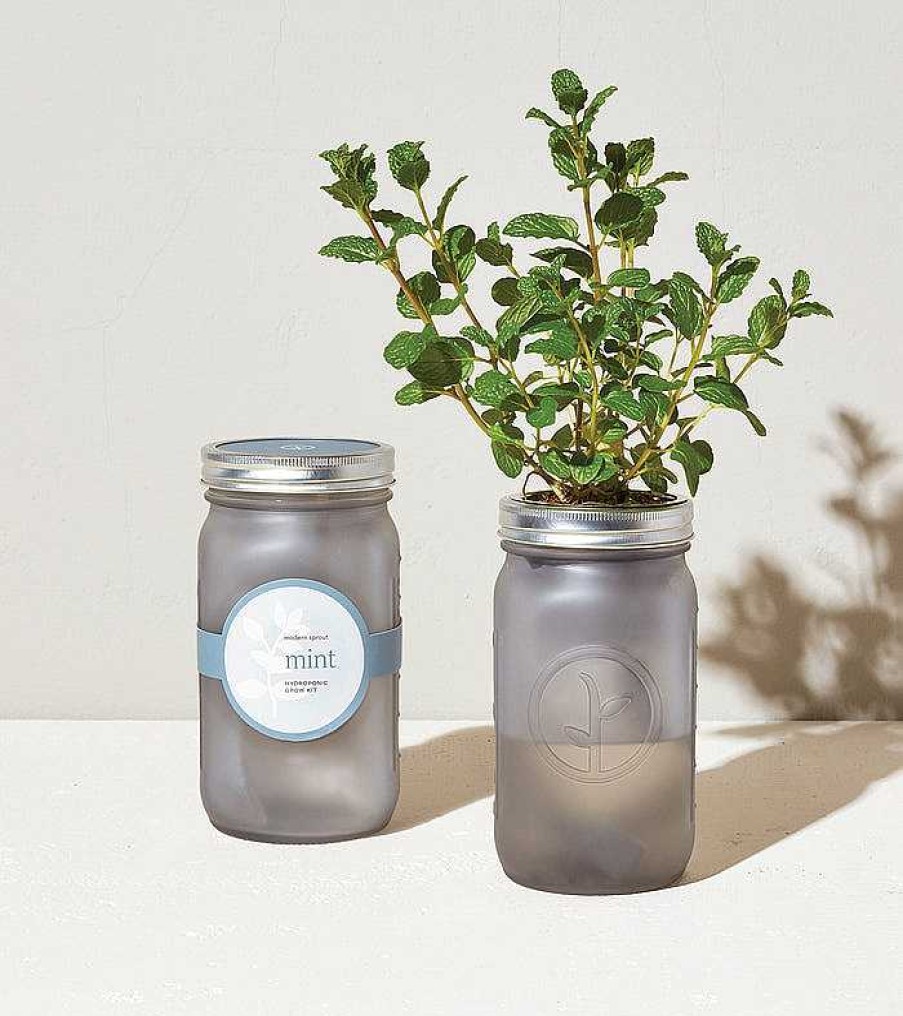 Kitchen Relish Decor | Garden Jar - Mint