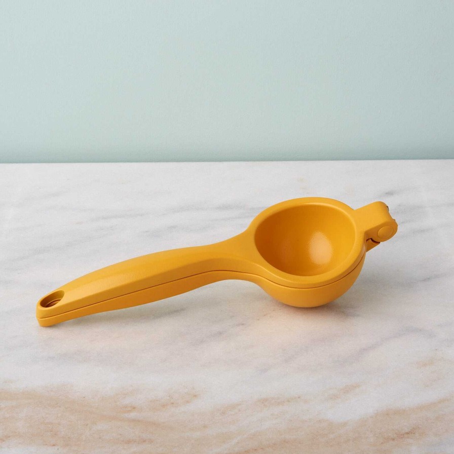 Kitchen Relish Decor | Harlow Lemon Citrus Press