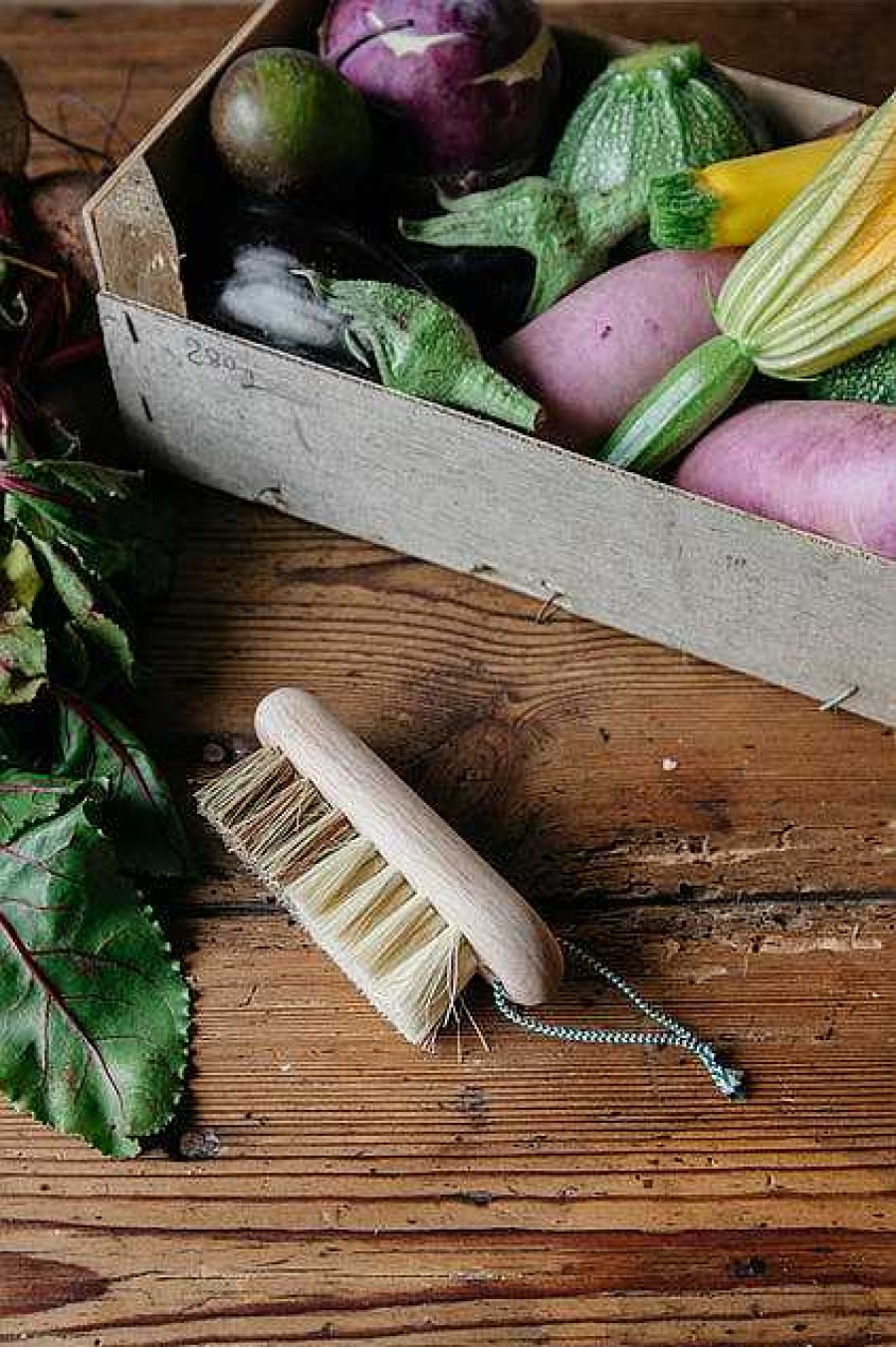 Kitchen Relish Decor | Andr E Jardin Tradition Vegetable Brush